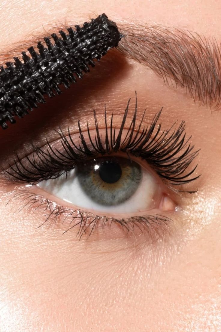 Lashes, Brows and Makeup